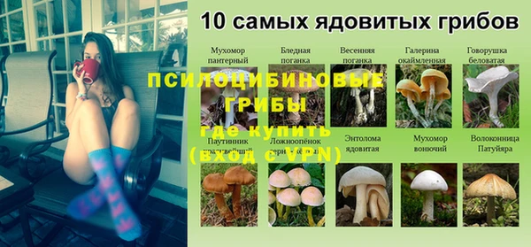 spice Кулебаки