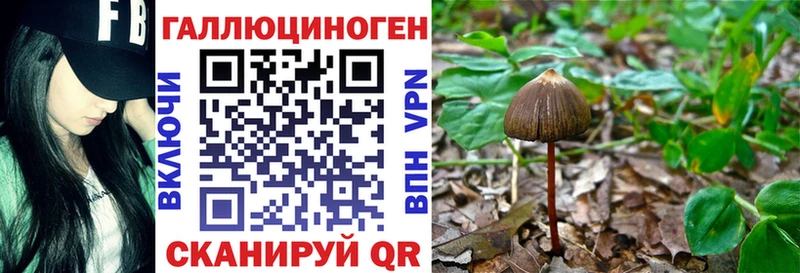 Галлюциногенные грибы Magic Shrooms  Купить где  Яблоновский 